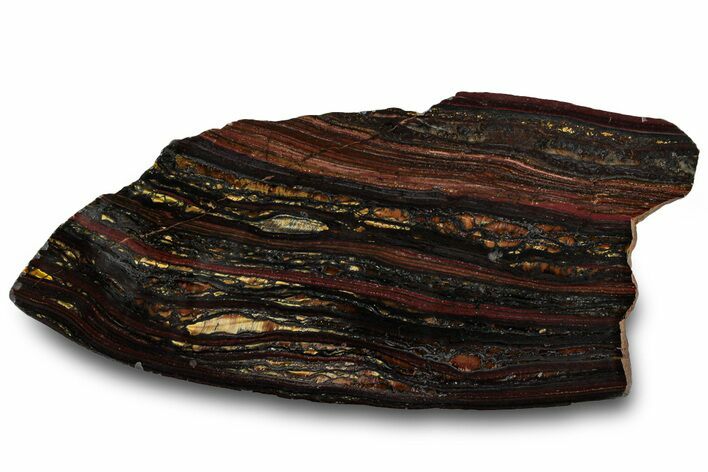 Polished Tiger Iron Stromatolite Slab - Billion Years #319388